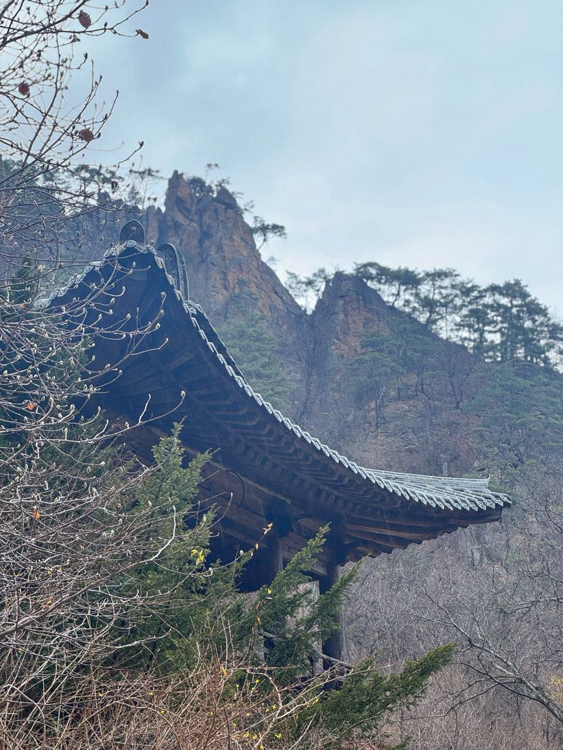 South Korea Nature🇰🇷
