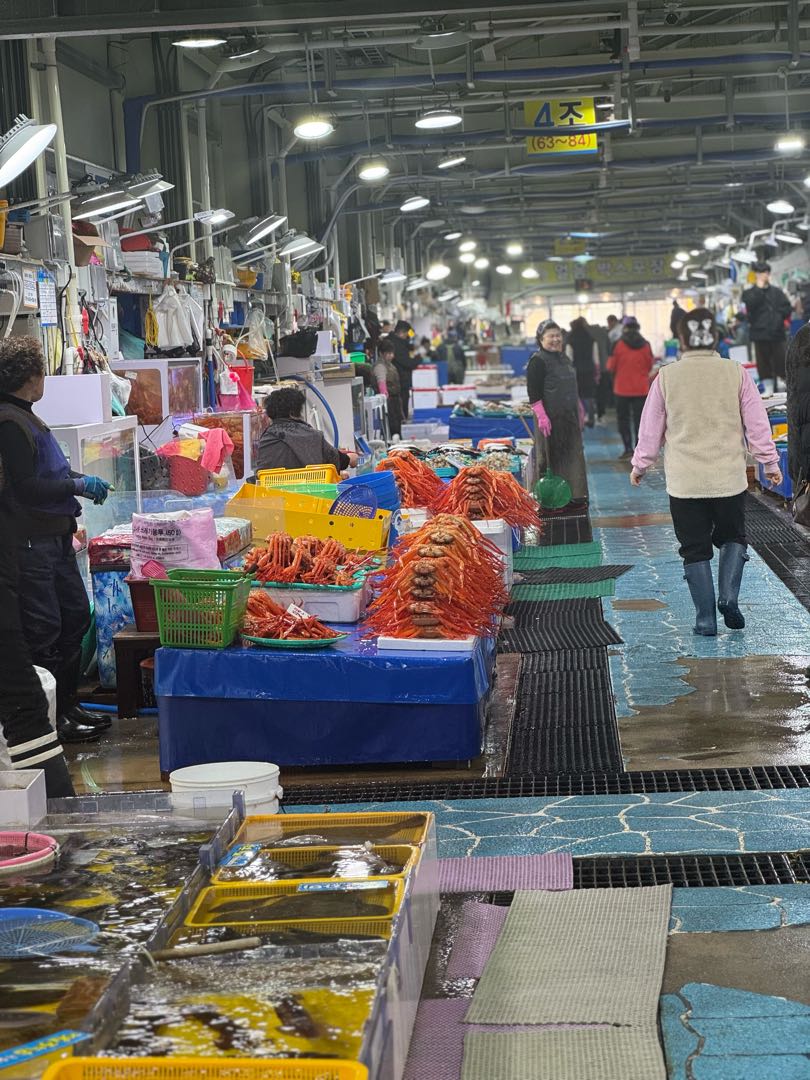Jumunjin Fish Market🇰🇷