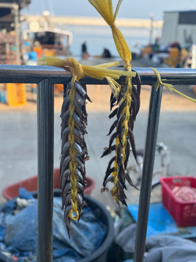 Jumunjin Fish Market🇰🇷