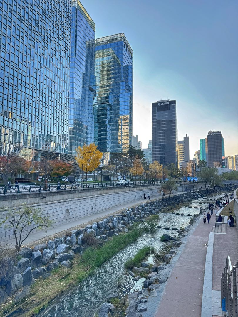Seoul🇰🇷