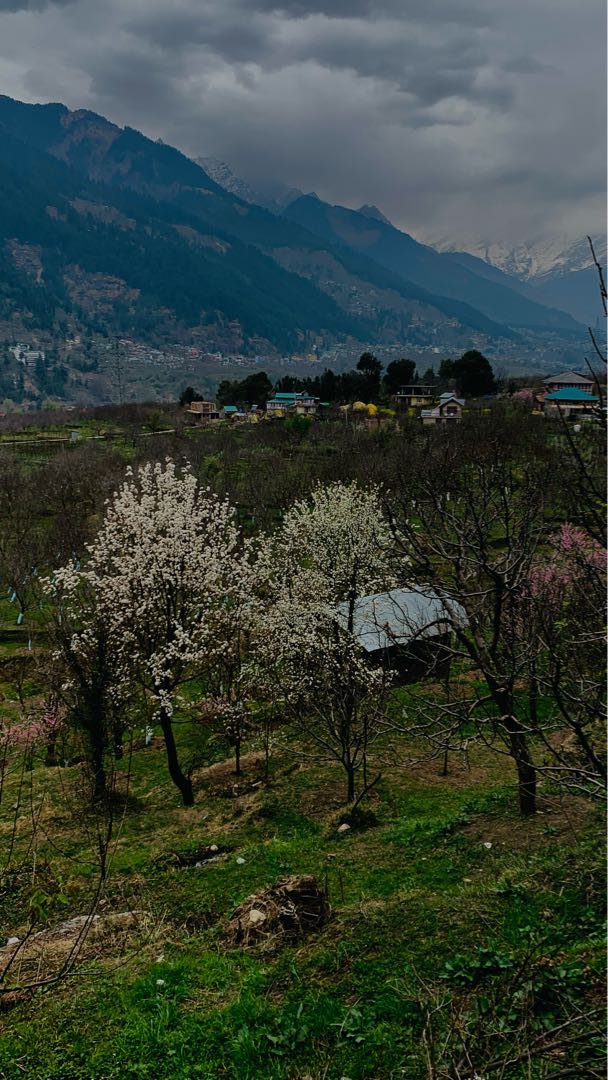 Spring in Monsoon mood