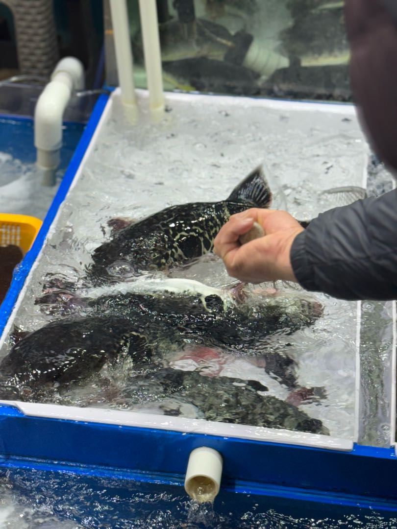 Jumunjin Fish Market🇰🇷