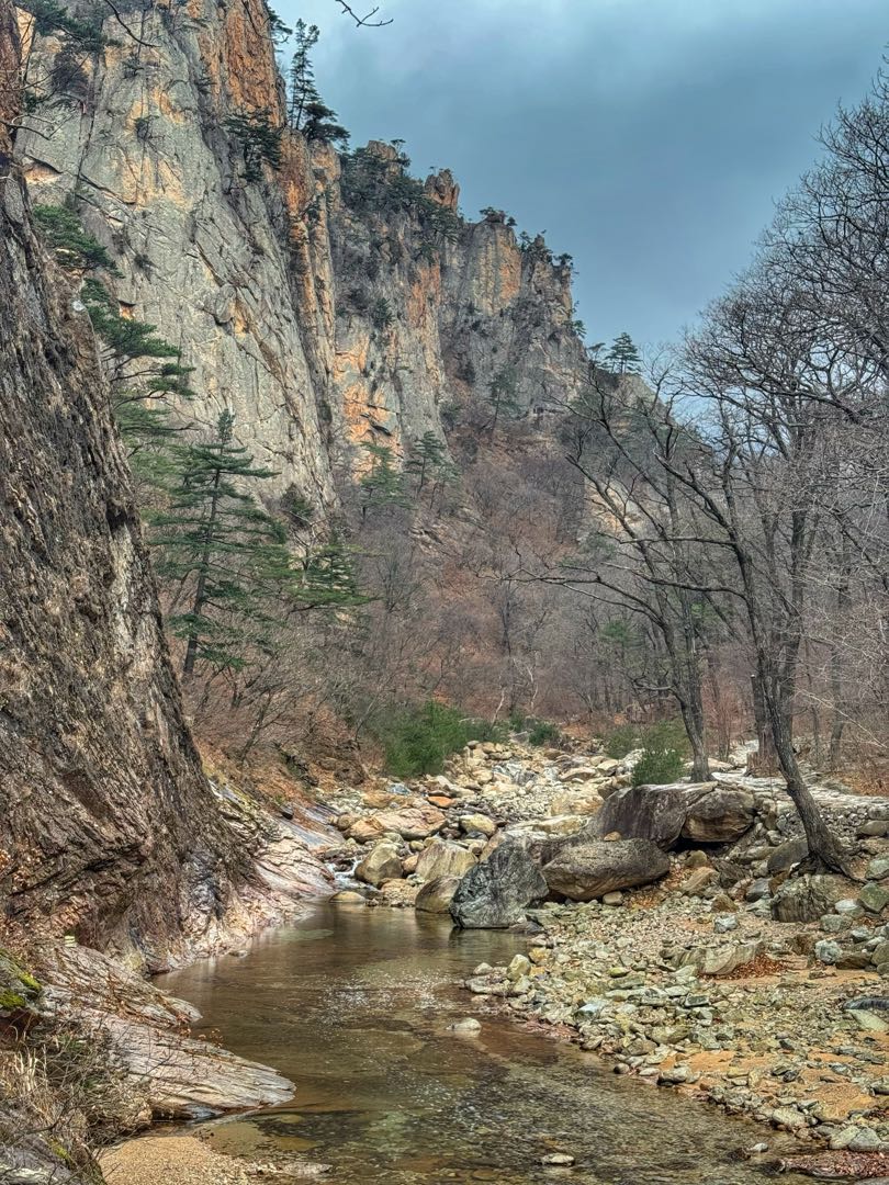 South Korea Nature🇰🇷