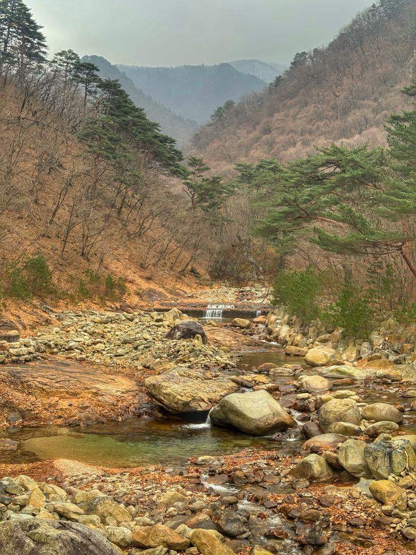 South Korea🇰🇷