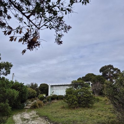 Tasmania Weymouth