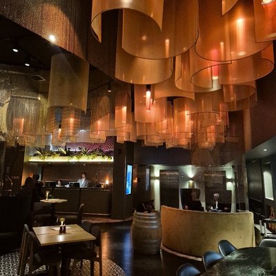 Vibe Hotel
