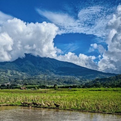 Gumpalan awan