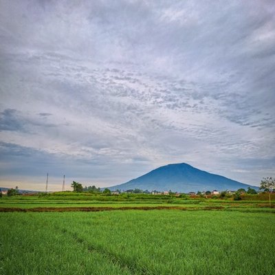 Secerah pagi