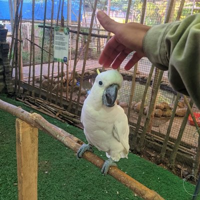 Batam Zoo Paradise