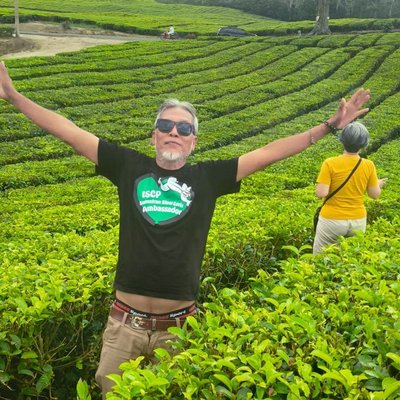 tea plantation
