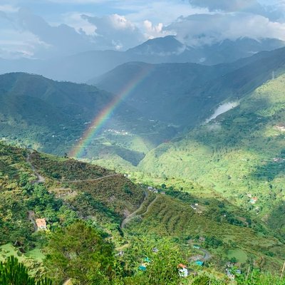 Magic of nature