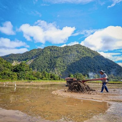 Senandung alam
