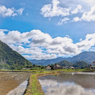 Suasana desa