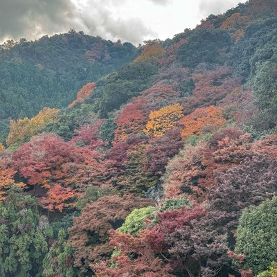 Arashiyama Park🇯🇵