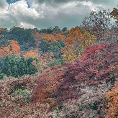 Arashiyama Park🇯🇵