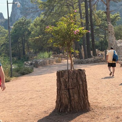 olympos