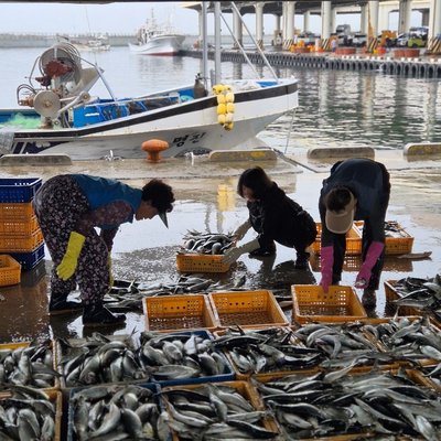 주문진 항구 Jumunjin Port