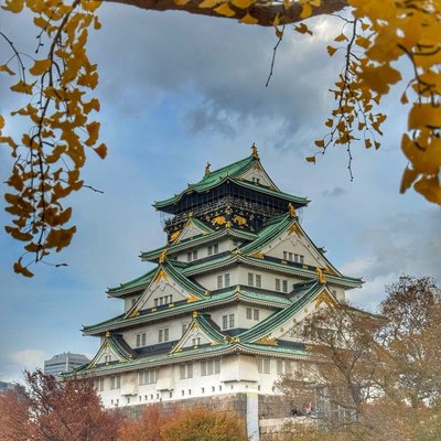 Osaka Castle🇯🇵