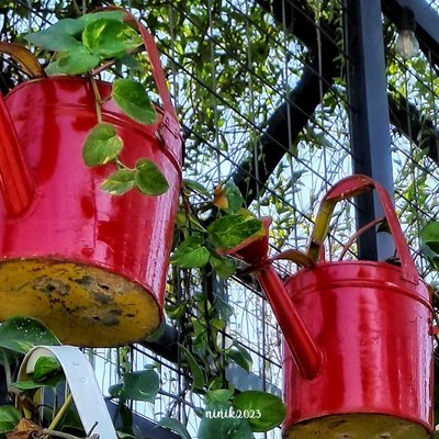 Gembrong