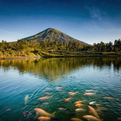 Daylight di embung kledung bersama ikan ikan 