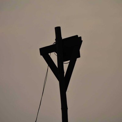 Dusky Silhouette.