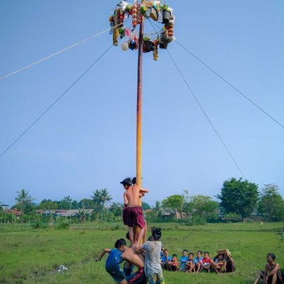 Lomba panjat pinang 