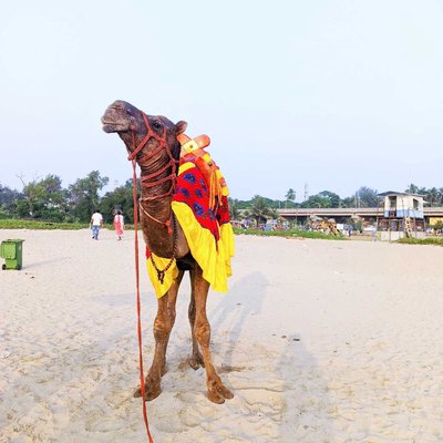 KARWAR'S ATTRACTION 