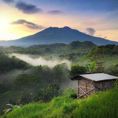 Kabut Pagi.