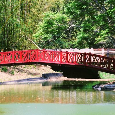 Jardín Botánico