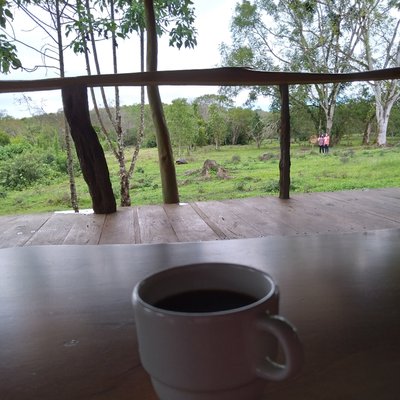 ☕🍃