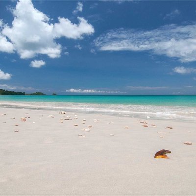 Lambangan Pauno Beach | Banggai Laut