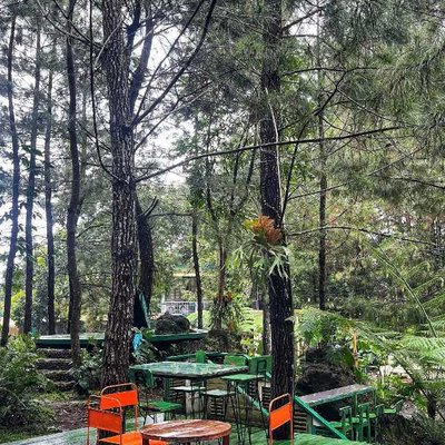 LQ Forest