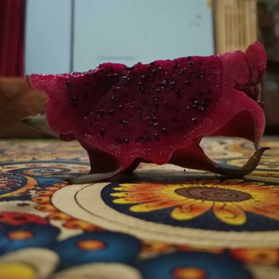 buah naga