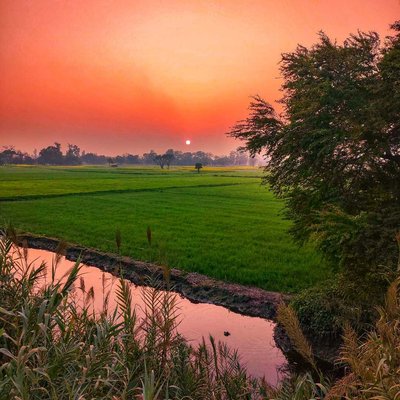 Sunset 🌇