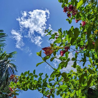 Tell me something nice, like flowers and sky 🌼♥️