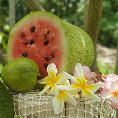 Frutas tropicales 