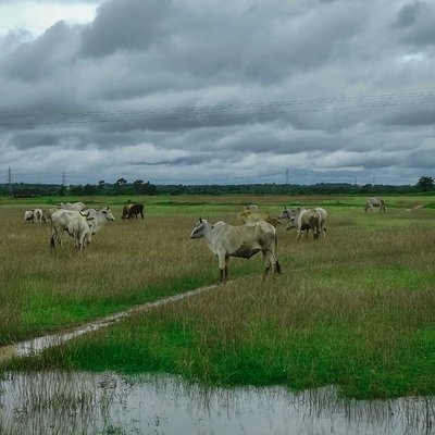 purulia