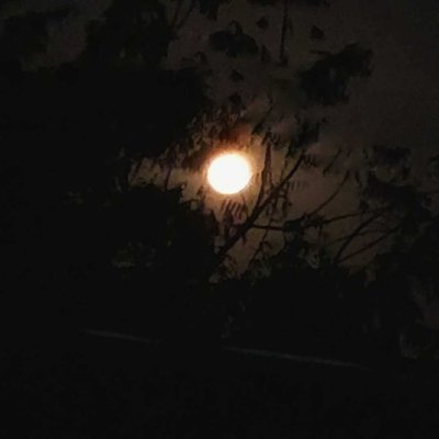 the full moon
