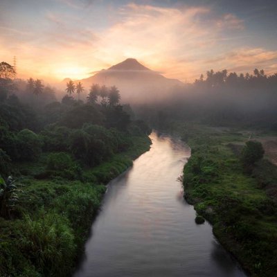 Fog in the morning