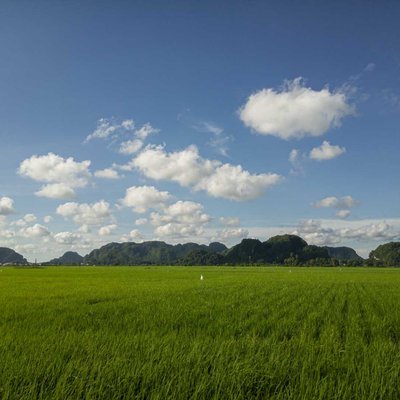 View Hamparan Sawah di Daerah Pangkep