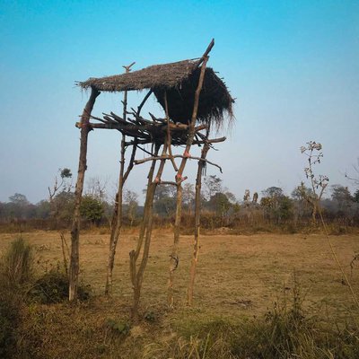 Nature Place