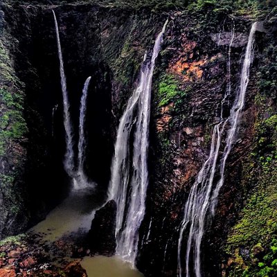 jog falls 