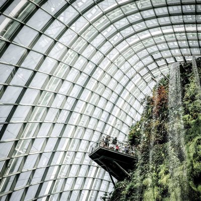 Man-made Forest