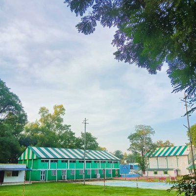 too much green