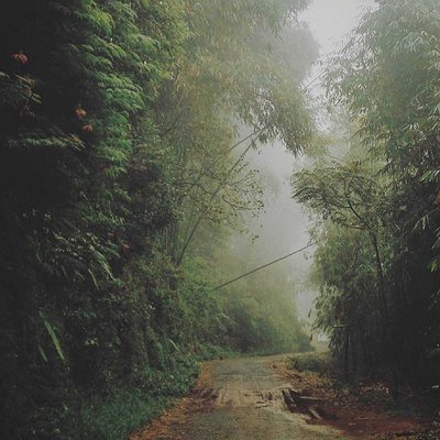 sweet escape