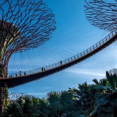Gardens by the Bay