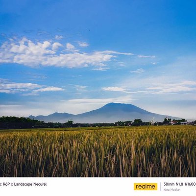 Sawah dan Gunung
