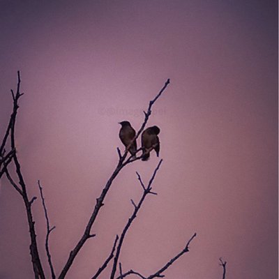Together? Hmm, in their own world!!