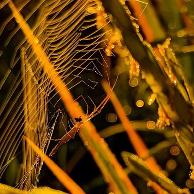 Under the warm colors of sunlight 