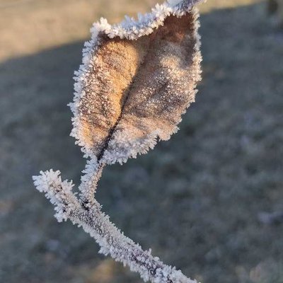 Cold morning